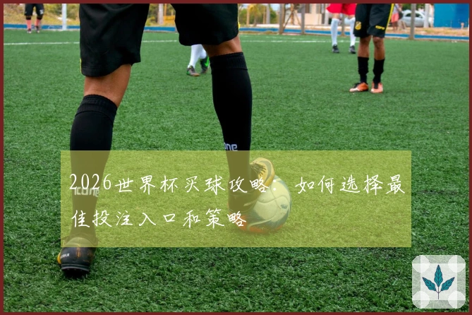 2026世界杯买球攻略：如何选择最佳投注入口和策略