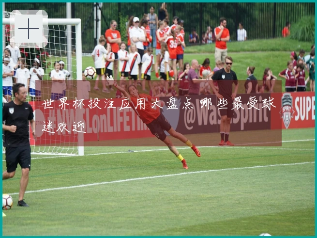 世界杯投注应用大盘点 哪些最受球迷欢迎