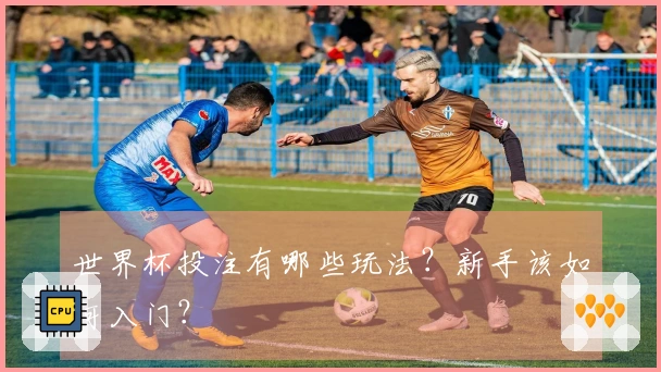 世界杯投注有哪些玩法？新手该如何入门？