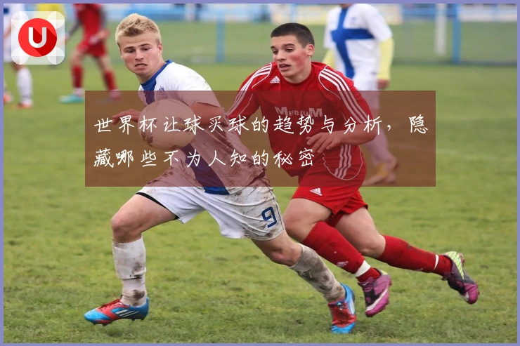 世界杯让球买球的趋势与分析，隐藏哪些不为人知的秘密