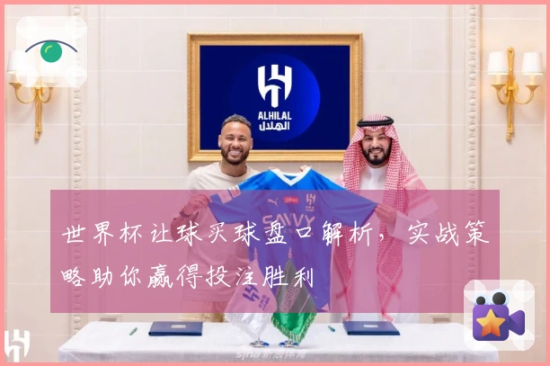 世界杯让球买球盘口解析，实战策略助你赢得投注胜利