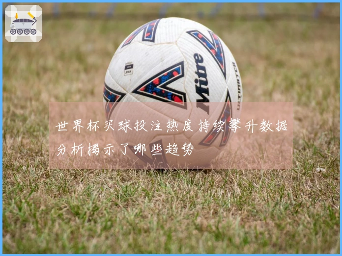 世界杯买球投注热度持续攀升数据分析揭示了哪些趋势