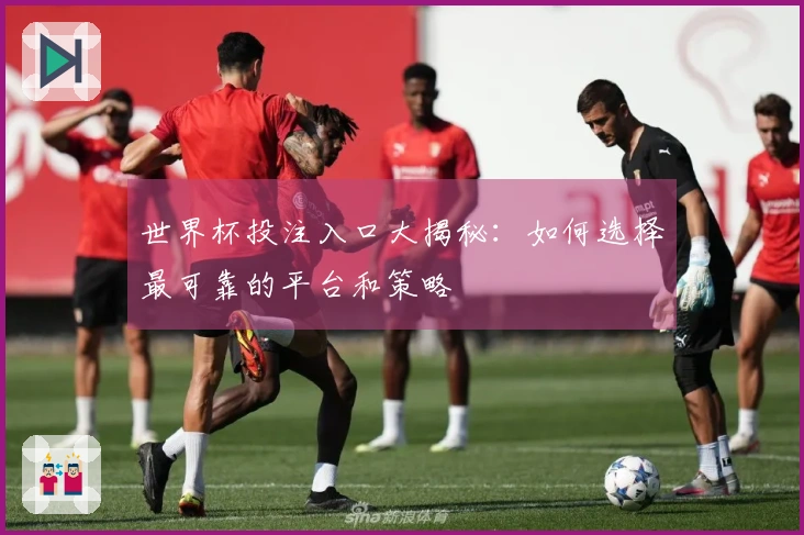 世界杯投注入口大揭秘：如何选择最可靠的平台和策略