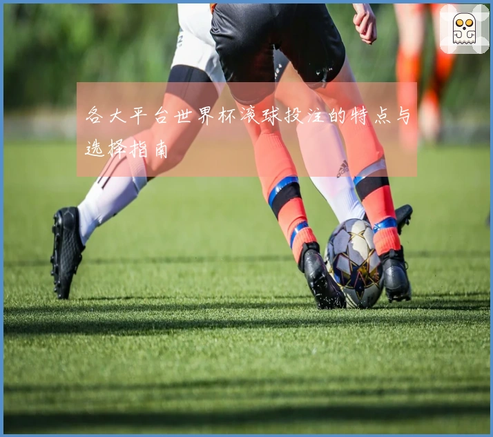 各大平台世界杯滚球投注的特点与选择指南