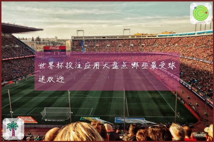 世界杯投注应用大盘点 哪些最受球迷欢迎