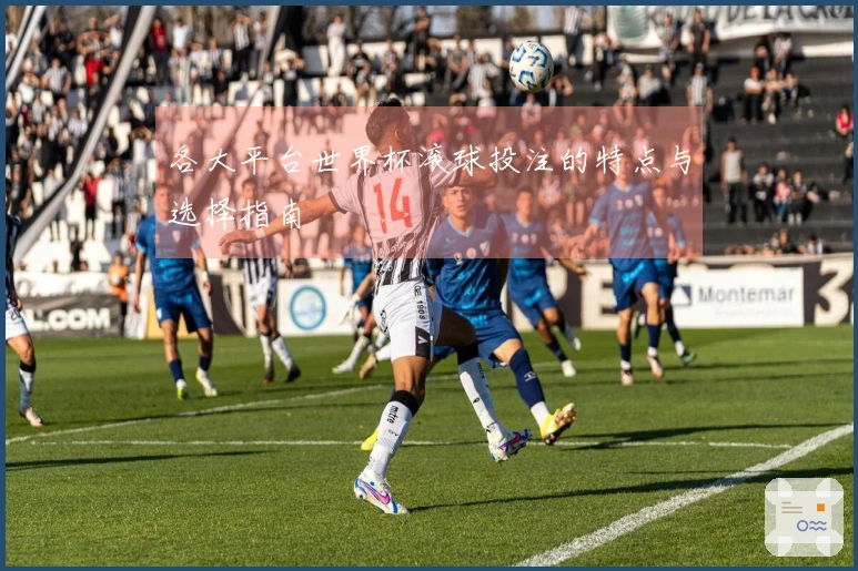各大平台世界杯滚球投注的特点与选择指南