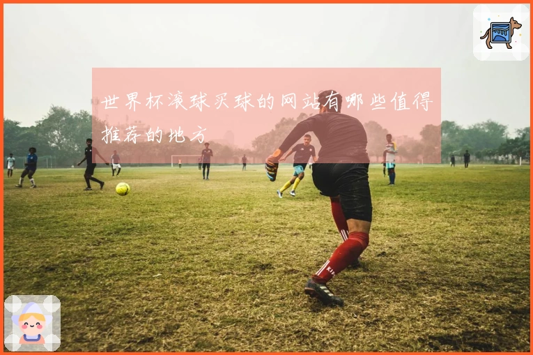 世界杯滚球买球的网站有哪些值得推荐的地方