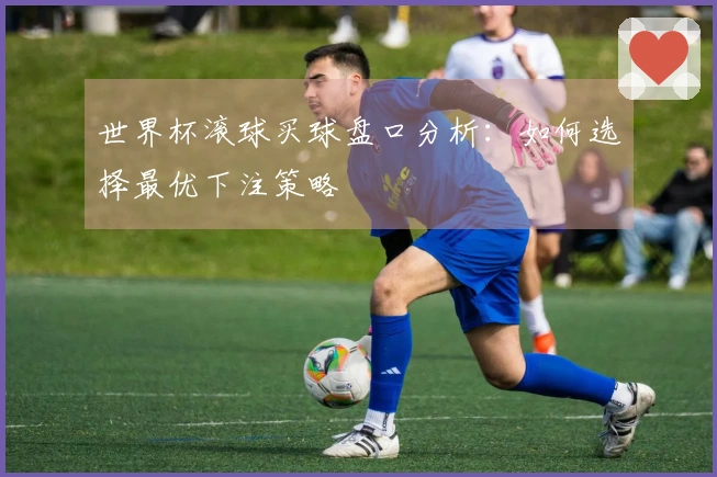 世界杯滚球买球盘口分析：如何选择最优下注策略